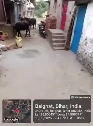 बेलघाट में सरकारी सड़क पर दबँगो का कब्जा 
सरकारी रास्ता पर एक ही परिवार द्वारा लगतार अतिक्रमण किया जा रहा है 
@