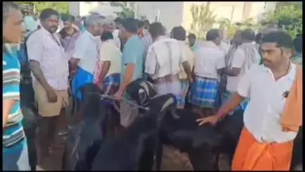 நல்லம்பள்ளி: நல்லம்பள்ளி வட்டாட்சியர் மைதானத்தில் நல்லம்பள்ளி வாரச்சந்தையில் 52 லட்சத்திற்கு ஆடுகள் விற்பனையானது