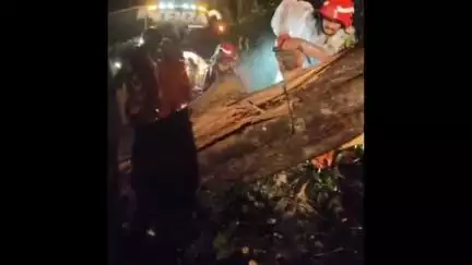 മാനന്തവാടി: സംസ്ഥാനപാത പേരിയ 34ൽ മരങ്ങൾ കൂട്ടത്തോടെ വീണ് ഗതാഗതം തടസപ്പെട്ടു, പുലർച്ചെയോടെ പുന:സ്ഥാപിച്ചു