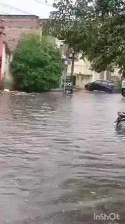 अलवर: अलवर में मानसून की दस्तक के साथ नगर निगम की सफाई व्यवस्था की पोल खुली, जगह-जगह जल भराव से लोगों को हुई परेशानी