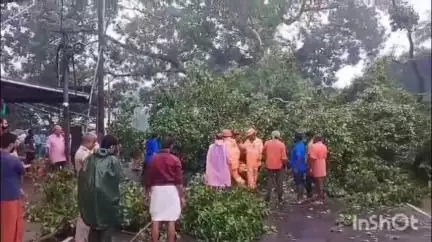 പറവൂർ: ഏലൂർ വടക്കുംഭാഗത്ത് ആൽമരത്തിന്റെ കമ്പ് ഒടിഞ്ഞുവീണ് അധ്യാപികക്കും വിദ്യാർത്ഥിക്കും പരിക്ക്