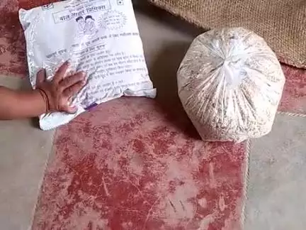 हमारे यहां ग्राम पंचायत नाचते हैं और गांव लक्ष्मीपुरा है यहां आंगनवाड़ी में यह दलिया और यह बस इतना मिलता है और कुछ नहीं