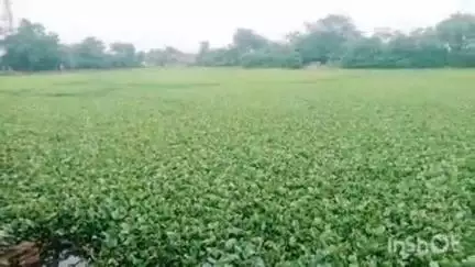 পুরুলিয়া ২: বাঁধ হয়ে উঠেছে খেলার মাঠ শহরের নতুন বাঁধের এমনই অবস্থা কি বললেন কাউন্সিলার #jansamasya