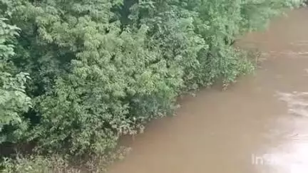 കോഴഞ്ചേരി: ജലനിരപ്പ് ഉയരുന്നു, മണിമല നദിയിൽ ഓറഞ്ച് അലർട്ടും അച്ചൻകോവിൽ നദിയിൽ മഞ്ഞ അലർട്ടും പ്രഖ്യാപിച്ചു