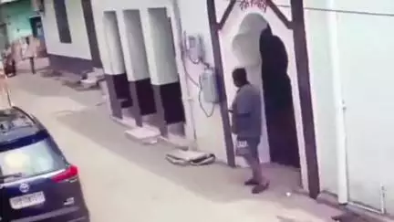 रेवाड़ी: रेवाड़ी में गाय का रौद्र रूप, हमले में 5 लोग घायल