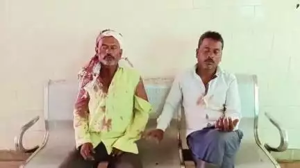 रीठी: गोदाना में जमीनी विवाद में दो पक्षों में चले लाठी-डंडे, कई लोग हुए घायल
