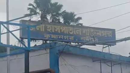 কৃষ্ণনগর ১: PWD মোর এলাকায় পথ দুর্ঘটনায় আহত এক টোটো যাত্রী