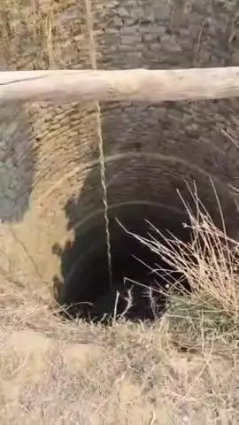 कोरांव: दादर में कुएं में गिरे बेजुबान मवेशी को जेसीबी मशीन से ग्रामीणों, पुलिस और फायर कर्मियों ने निकाला, बचाई जान