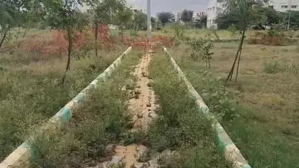 ಚಿತ್ರದುರ್ಗ: ಗಬ್ಬೆದ್ದು ನಾರುತ್ತಿದೆ ನಗರದ ಡಿಸಿಸಿ ಬ್ಯಾಂಕ್ ಲೇಔಟ್ ನ ಪಾರ್ಕ್ #localissue