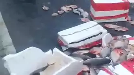 मुशहरी: चांदनी चौक के पास मछलियों से लदी ऑटो पलटी, सड़क पर बिखरी मछलियाँ