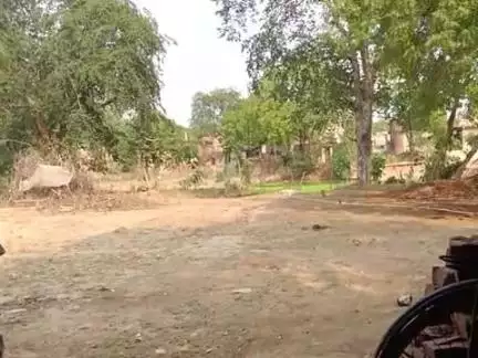 पूरे पहाड़ी पर ऊंचाहार रायबरेली चार भैंस गायब हो गई हैं पता बताने वाले भाई को ₹10000 दिया जाएगा 7523804800