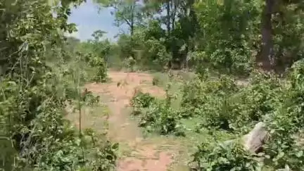 चक्रधरपुर: ईचाकुटी गांव के आंगनबाड़ी केन्द्र के समीप चापानल नहीं होने से हो रही परेशानी, ग्रामीणों ने जतायी नाराजगी#jansamasya