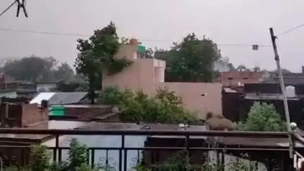 बिक्रमगंज: बिक्रमगंज प्रखंड क्षेत्र में तेज आँधी और बारिश से मिली गर्मी से राहत, कई बिजली के पोल उखड़े और पेड़ ध्वस्त