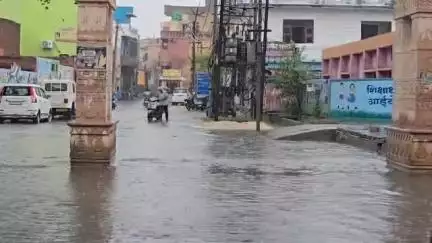 झज्जर: झज्जर में मानसूनी बरसात से खिले लोगों के चेहरे


:गरमी से मिली राहत,लेकिन गंदगी से पैदा हुई आफत#jansamasya