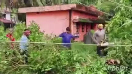 ಬೈಂದೂರು: ಭಾರಿ ಮಳೆಯಿಂದಾಗಿ ರಸ್ತೆಯ ಮೇಲೆ ಬಿದ್ದಿರುವ ಬೃಹತ್ ಮರದ ಕೊಂಬೆಗಳ ತೆರವು ಕಾರ್ಯಾಚರಣೆ