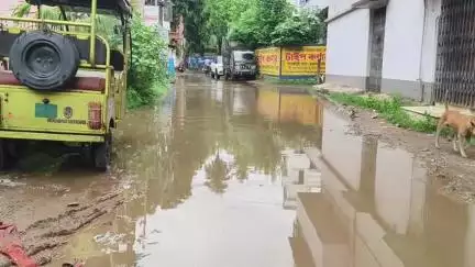 কৃষ্ণনগর ১: পাত্রবাজারে জল জমে বেহাল বাজারে ঢোকার রাস্তা, সমস্যায় ব্যবসায়ী সহ এলাকাবাসীরা #jansamasya