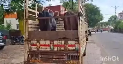 लातूर: नळेगाव बाजारातून गोवंश भरून निघालेल्या 3 वाहनांना विवेकानंद पोलिसाच्याहद्दीत थांबवले,गुन्हा दाखल करण्याची प्रक्रिया सुरु