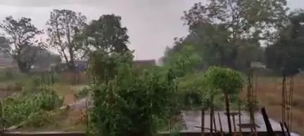 कोईलवर प्रखंड के चान्दी के आसपास मुसला धार वर्षा का आगाज हुआ। लोगों ने गर्मी से राहत की सांस ली। किसानों में खुशी दिखी।