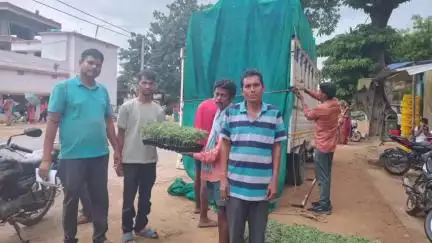 तोरपा: सुन्दारी, कसमार और अन्य गांवों के किसानों के बीच किया गया 37000 ग्राफ्टेड टमाटर और बैंगन के पौधों का वितरण