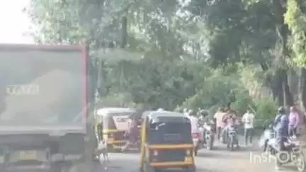 पालघर: शिरसाड- वज्रेश्वरी- अंबाडी मार्गावर पारोळ नजीक रस्त्यावर कोसळले भले मोठे झाड