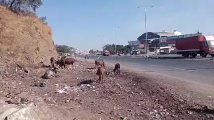 ચોટીલા: ચોટીલા આણંદપુર ચોકડી પાસે હાઇવે રોડની બંને તરફનો રોડ ખોદી નખાયો, રાહદારી અને વાહનચાલકોને મુશ્કેલી