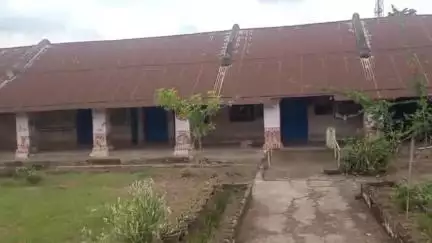 ବୌଦ୍ଧ ସଦର: ୧୫୦ ବର୍ଷରୁ ଉର୍ଦ୍ଧ୍ଵ ହରଭଙ୍ଗାରେ ଟିଣଛପରରେ ନିର୍ମିତ ପ୍ରାଥମିକ ବିଦ୍ୟାଳୟର ବିଭନ୍ନ ସମସ୍ୟା ନେଇ ଅଭିଯୋଗ କଲେ ଗ୍ରାମବାସୀ #jansamasya