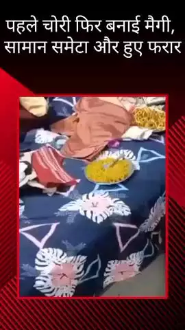 थाना गाजीपुर अंतर्गत इंदिरा नगर में चोरों ने घर में घुसकर बनाई मैगी, सामान समेटकर हुए फरार
