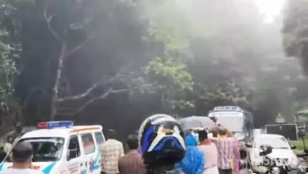 ತೀರ್ಥಹಳ್ಳಿ: ಆಗುಂಬೆ ಘಾಟಿ ಚೆಕ್ಪೋಸ್ಟ್ ಬಳಿ ಧರೆಗುರುಳಿದ ಬೃಹತ್ ಮರ