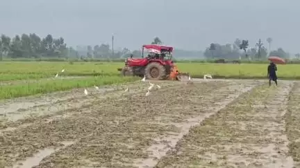 আউশগ্রাম ১: তীব্র দাবদাহের পর অবশেষে দিনভর বৃষ্টিতে যথেষ্টই খুশি আউশগ্রামের কৃষকরা, তারা বীজতলা তৈরির কাজ শুরু করলেন