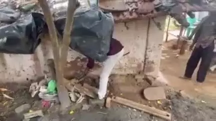 चिचोली: चिचोली के खापा गांव में घर की दीवार में मिला 8 फीट लंबा अजगर, सर्पमित्र ने रेस्क्यू कर जंगल में छोड़ा
