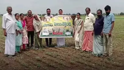 విత్తన శుద్ధితోనే పంటలకు రక్ష గోస్పాడు మండల అగ్రికల్చర్ ఆఫీసర్ స్వప్నికా రెడ్డి