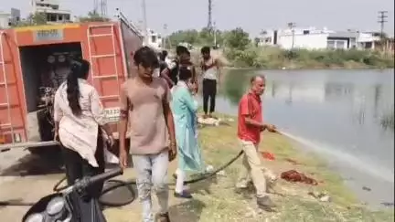 पाली: लाखोटिया तालाब के तीसरे भाग में ठेकेदार की लापरवाही से सीवरेज का पानी जाने से मछलियों की हुई मौत
