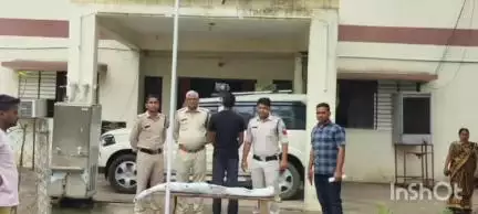 सरई: सरई थाना क्षेत्र के ग्राम गजराबहरा में एक व्यक्ति के घर से 2 गांजा के पौधे जब्त