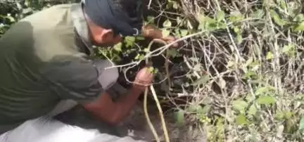 मांझी: दाउदपुर पुलिस ने कुएं से एक बाइक बरामद की