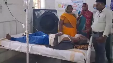 सोहागपुर: बकरी चराने गए 45 वर्षीय व्यक्ति पर जंगली सूअर का हमला, ज़िला अस्पताल में भर्ती