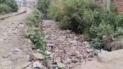 साढौरा: कस्बा सढौरा: बिजली पावर हाउस के पीछे नाले की सफाई न होने से बरसात में बढ़ेगी परेशानी