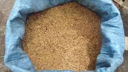মৰিগাঁও: ভূৰবন্ধাত ধান বেপাৰীৰ পাকচক্ৰত পৰি উচিত মূল্যৰ পৰা বঞ্চিত কৃষক ৰাইজ, গভীৰ নিদ্ৰাত মৰিগাঁও জিলা প্ৰশাসন #jansamasya