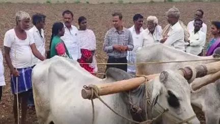 విత్తన శుద్ధి తప్పనిసరి : బేతంచెర్ల ఏవో విజయ్ కుమార్ రెడ్డి