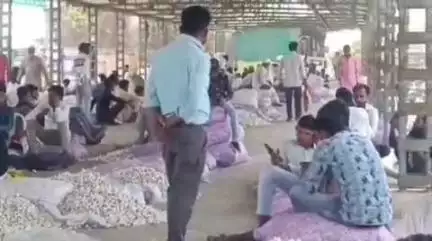 पोलायकलां: पोलाय कला मंडी में प्याज ₹1450 और लहसुन ₹8300 प्रति क्विंटल तक बिका