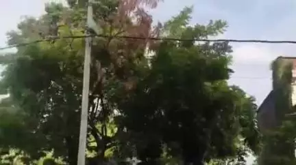 लंभुआ: कोतवाली देहात क्षेत्र के सौरमऊ इलाके में गिरे बिजली के खंभे और तार से हो सकती है बड़ी घटना, क्षेत्रवासियों का कहना
