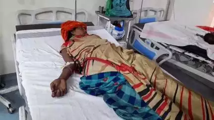 बरही: ग्राम लखनपुरा में मवेशी के हमले से एक महिला बुरी तरह हुई घायल, अस्पताल में उपचार जारी