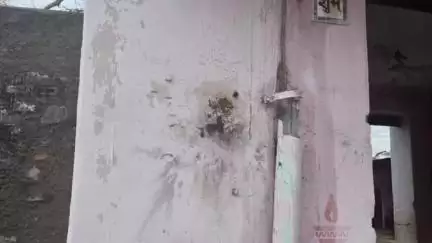 टांटोटी: जोरावरपुरा में आकाशीय बिजली गिरने से दो गाय और एक मोरनी की मौत, दर्जनों मकानों में लाइट फिटिंग जली, दो व्यक्ति चोटिल
