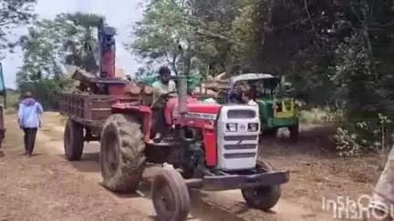 चतरा: वन विभाग की टीम ने पेटादेरी गांव में अवैध आरा मिल से 25 बोटा लकड़ी की जब्त