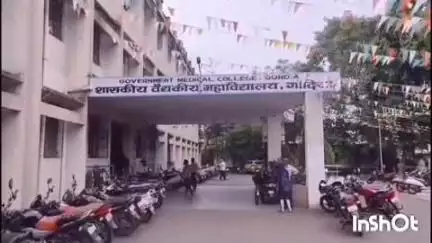 गोंदिया: बाजपाई वार्डातील दहा वर्षीय मुलीला विंचवाने केला दंश, गोंदिया शहर पोलिसांनी घेतली घटनेची नोंद