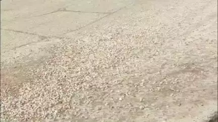 भुसावर: घाटरी कारवान क्रेशर जोन से निकलने वाले खनन सामग्री से भरे वाहन बने परेशानी का सबब, फैलती गिट्टियों से वाहन चालक परेशान