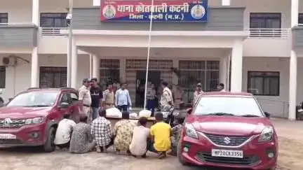 कटनी नगर: कोतवाली पुलिस ने गश्त में 10 किलो गांजा किया ज़ब्त, 7 आरोपी गिरफ्तार, दो कारें भी ज़ब्त