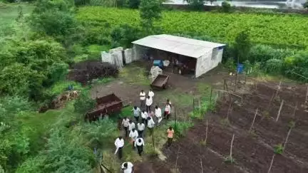 दिंडोरी: मौजे जानोरी वादग्रस्त नाला प्रकरणात तिसऱ्यांदा प्रांताधिकारी यांचे स्थळ पाहणी
