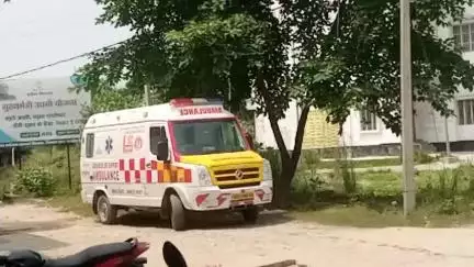 महराजगंज: नवलपुर के पास नीलगाय को बचाने में बाइक अनियंत्रित होकर गिरने से एक युवक घायल