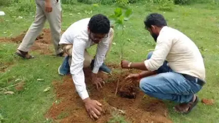 সাঁতুড়ি: পরিবেশ রক্ষার বার্তা দিতে লেদাসন এলাকায়  বৃক্ষরোপণ করল একটি স্বেচ্ছাসেবী সংস্থা