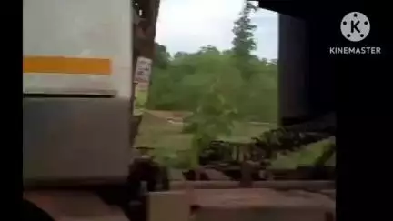 एमएमसी जिले के ग्राम धोबेदण्ड में अज्ञात वाहन की टक्कर से नंदी बैल की हुई मौत, ग्रामवासियों ने दी भावपूर्ण विदाई